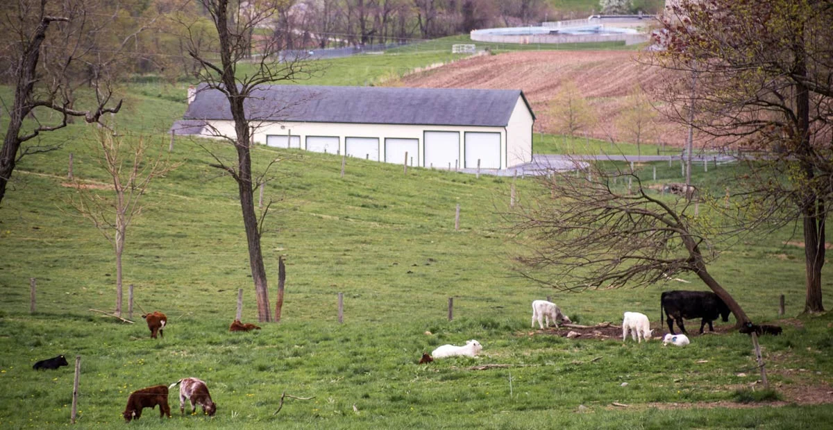 Read article 'Farm Conservation in Central PA'