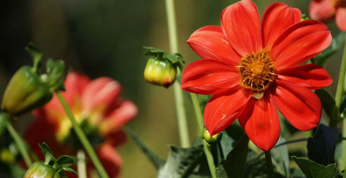 Read article 'Enjoying Nature in Elizabethtown'