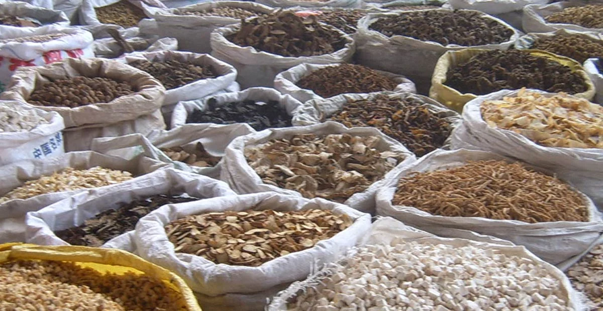 Read article 'Nature’s Pharmacy: Herbal Medicines'