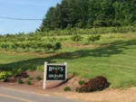 braces orchard sign