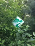 back mountain trail sign