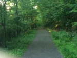 sunlit trail