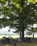 Historic cannons by a stone wall and trees outdoors.