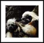 Masonic Village at Dallas resident's photo of monkeys together.