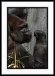 Masonic Village at Dallas resident's photo of a gorilla outdoors.