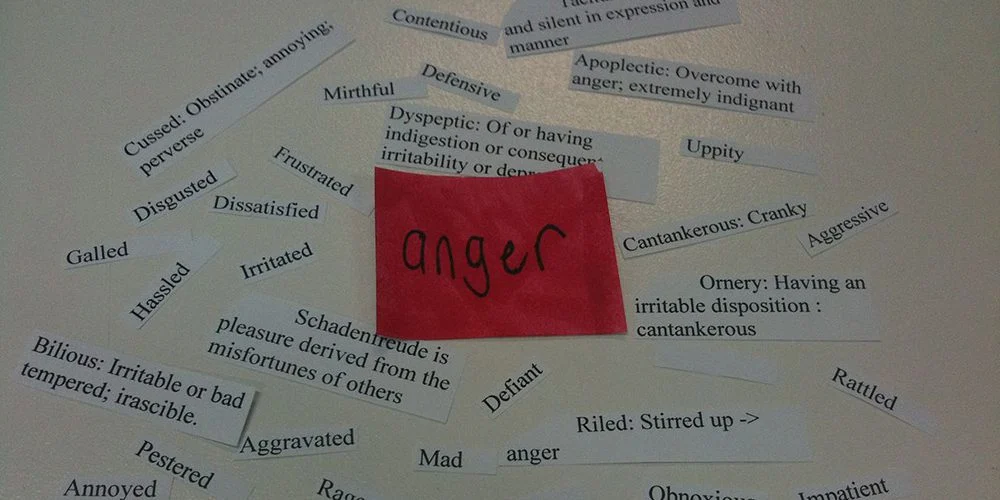 Read article 'We All Get Angry Sometimes'