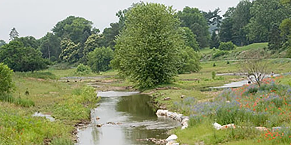Read article 'Conoy Creek Restoration Project'