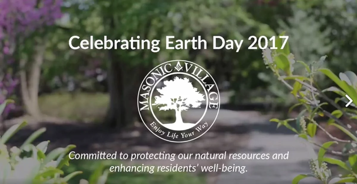 Read article 'Celebrating Earth Day'