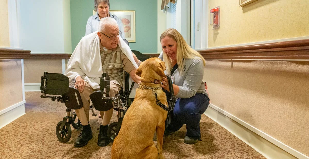 Read article 'Animals Bring Joy & Comfort to Patients'